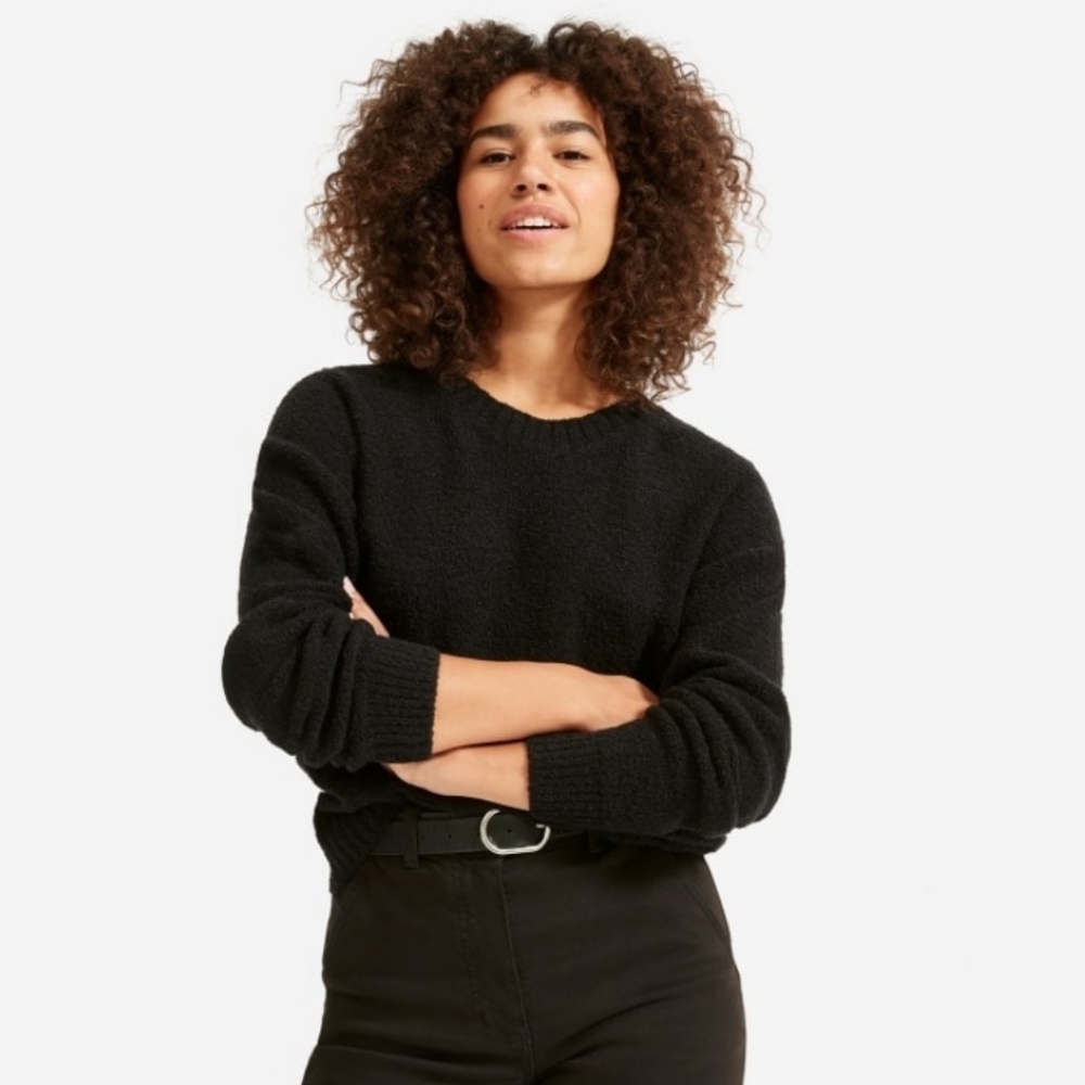 Everlane Teddy Wool Blend Crew Neck Sweater